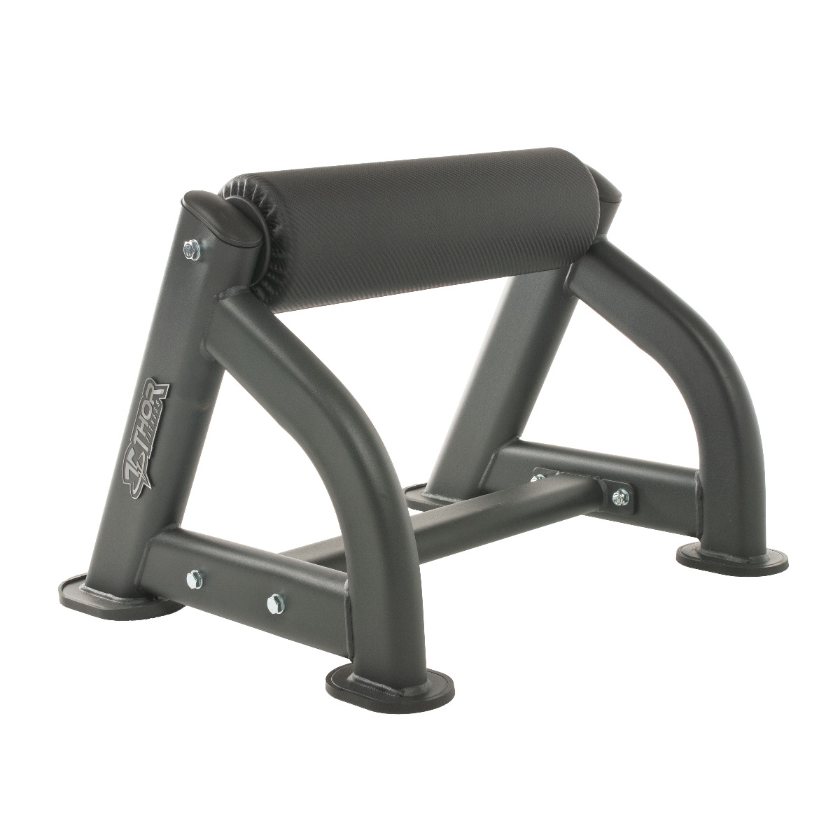 tf-standard-bulgarian-squat