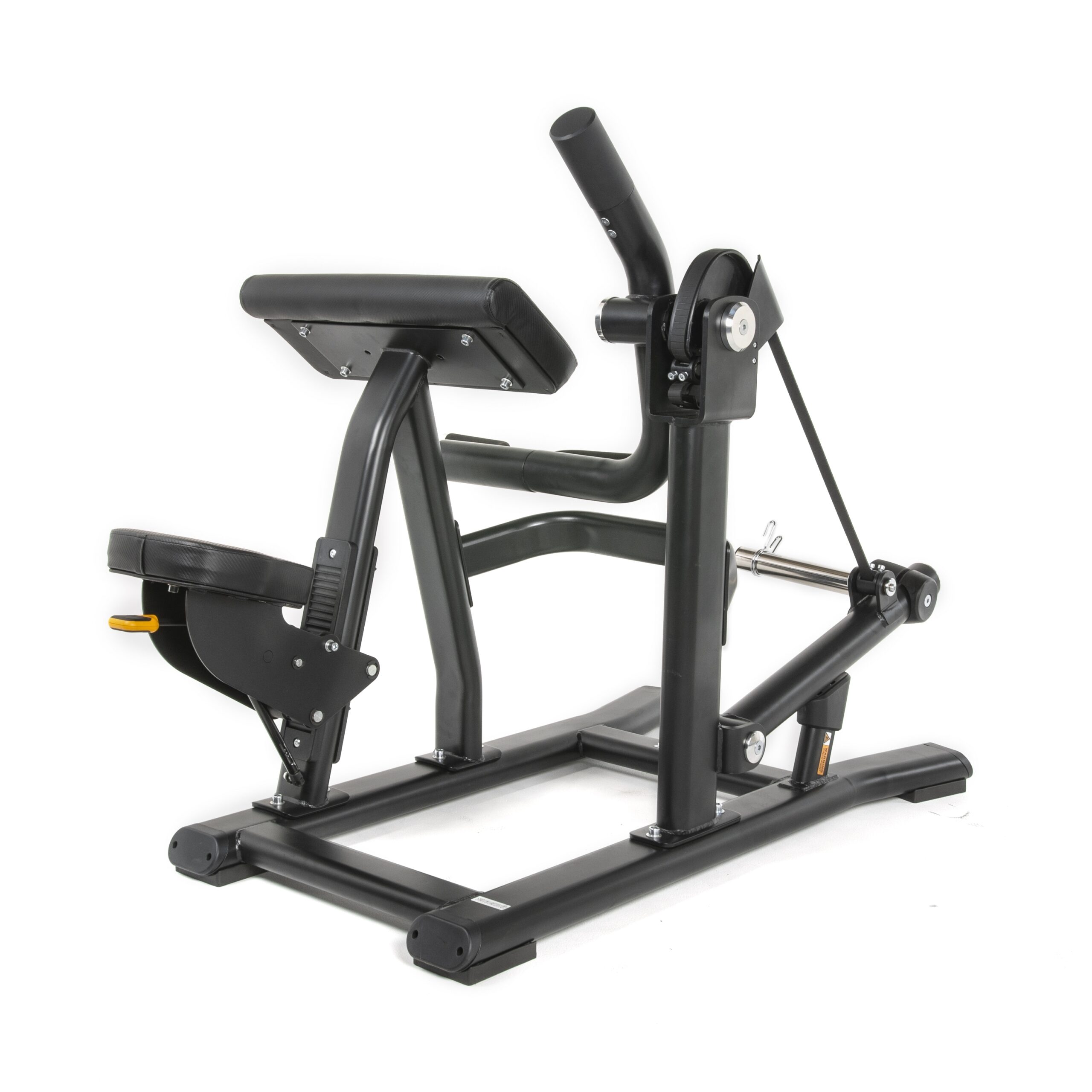 tf-standard-pl-biceps-curl