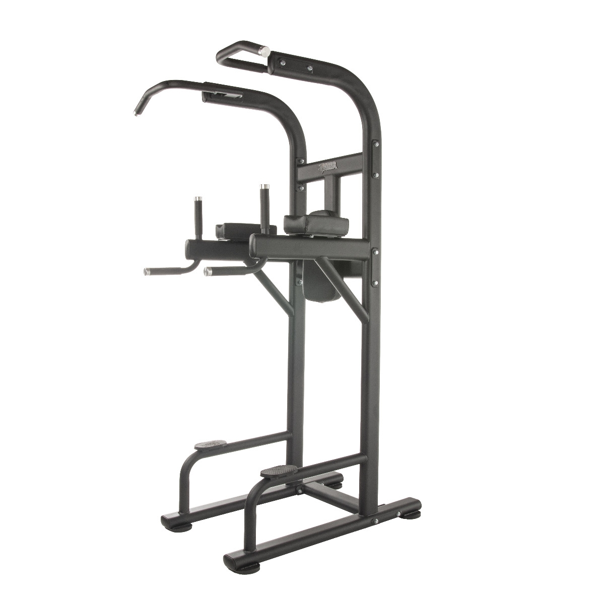 tf-standard-vertical-knee-raise-dip